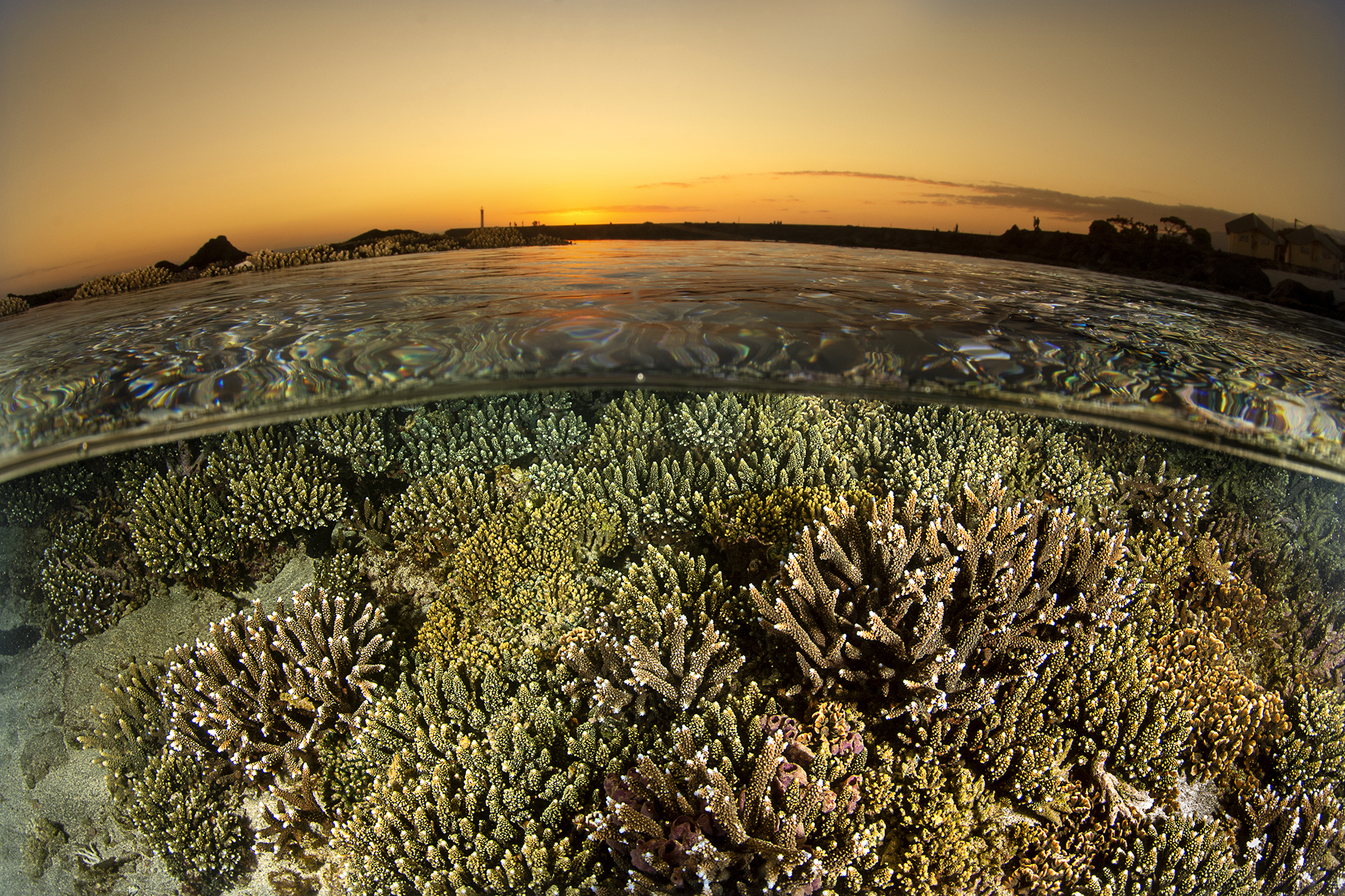 half air half water of the reef at sunset